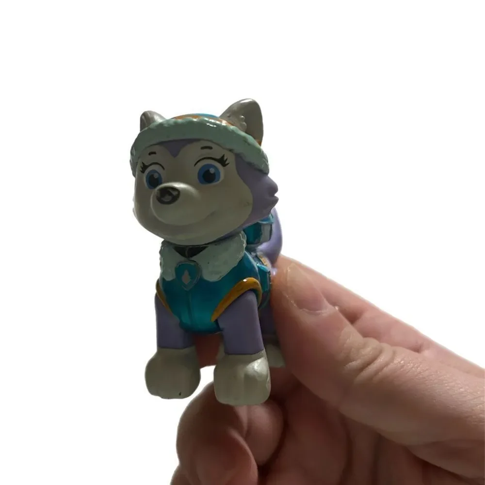 Paw Patrol 13 total